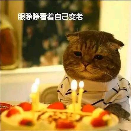 醉烈*^_^*的酒