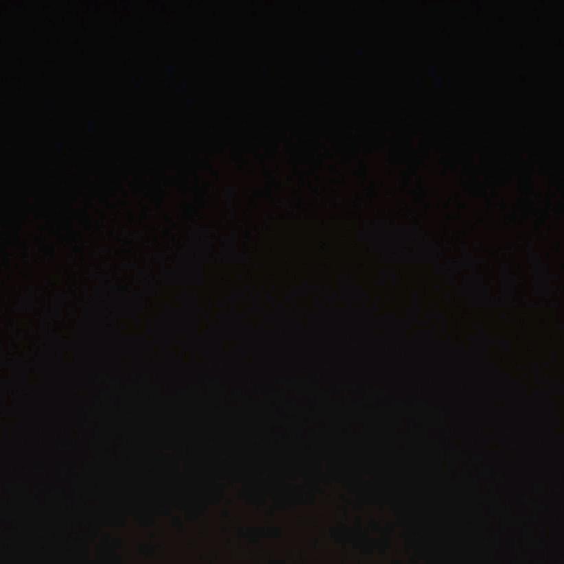 忘掉一切，重新开始