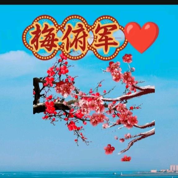 🌹梅俯军心♥