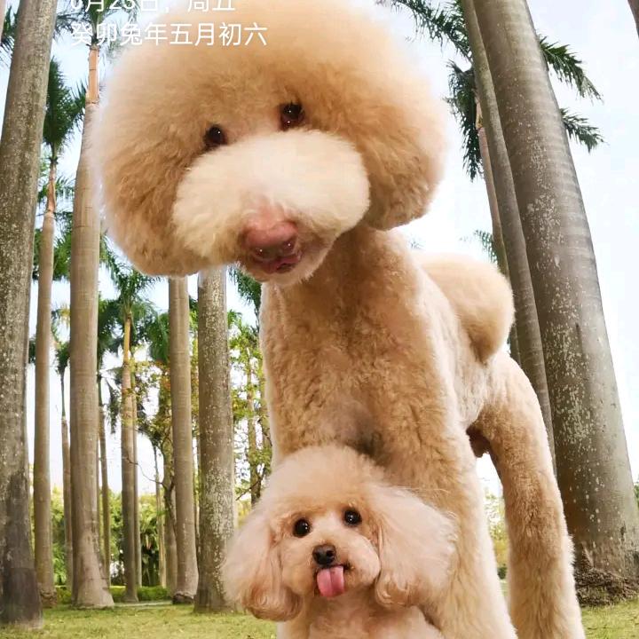 拥抱一分钟