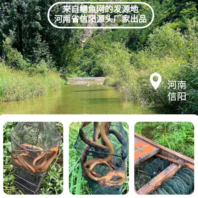 杰哥网业