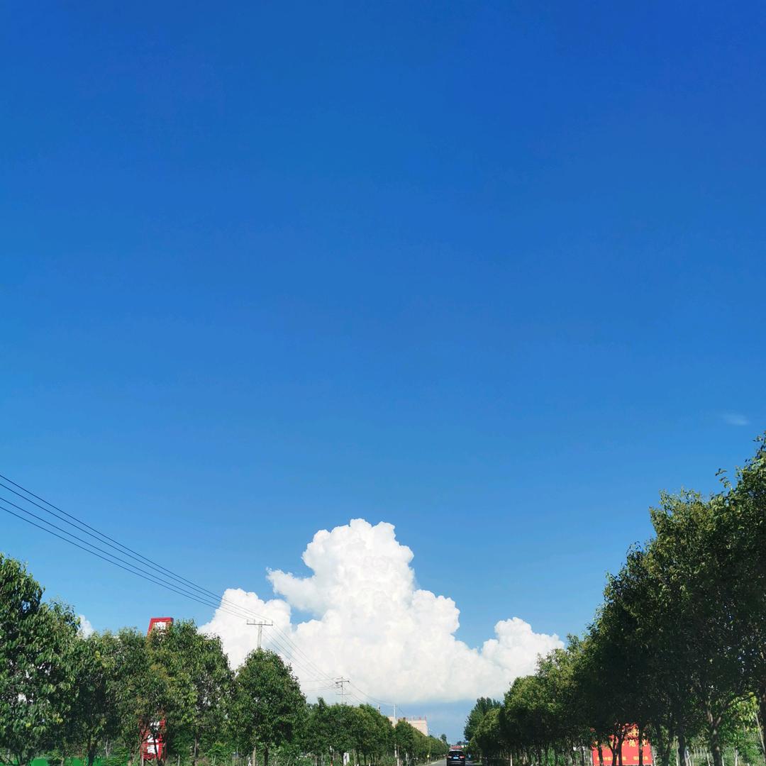 啊杜