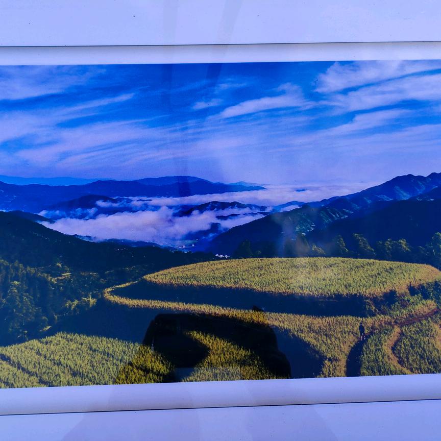 记录生活点点滴滴