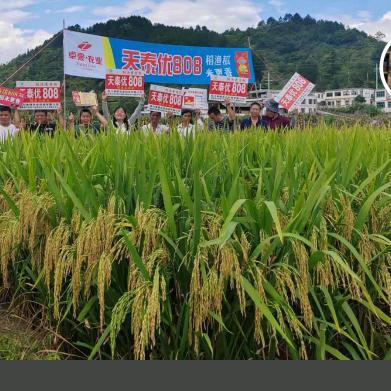 镇宁农兴源农业