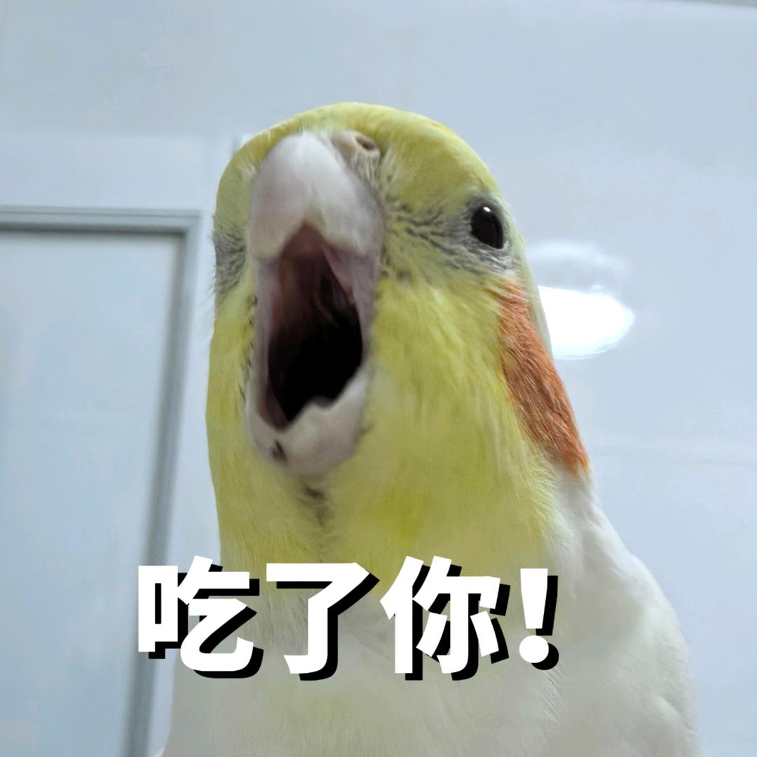 哇哈哈哈！头像