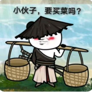 袍子