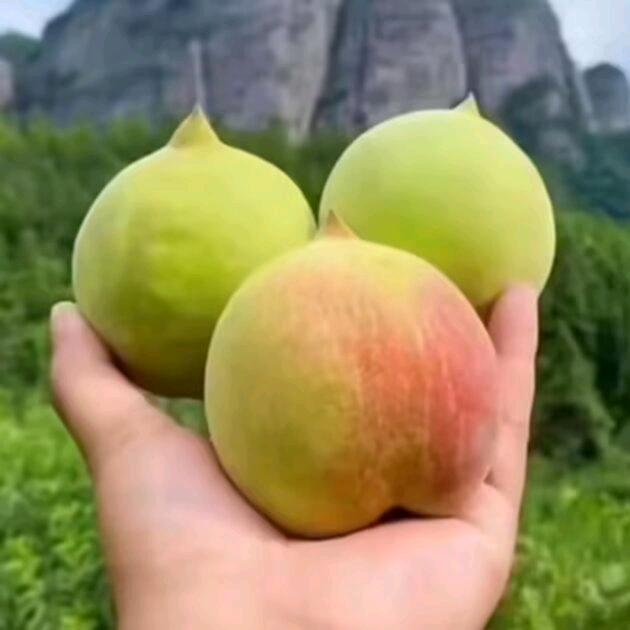 少说多看