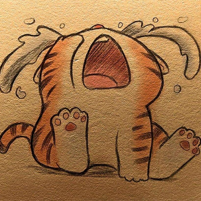 ꧁十一点钟先生꧂