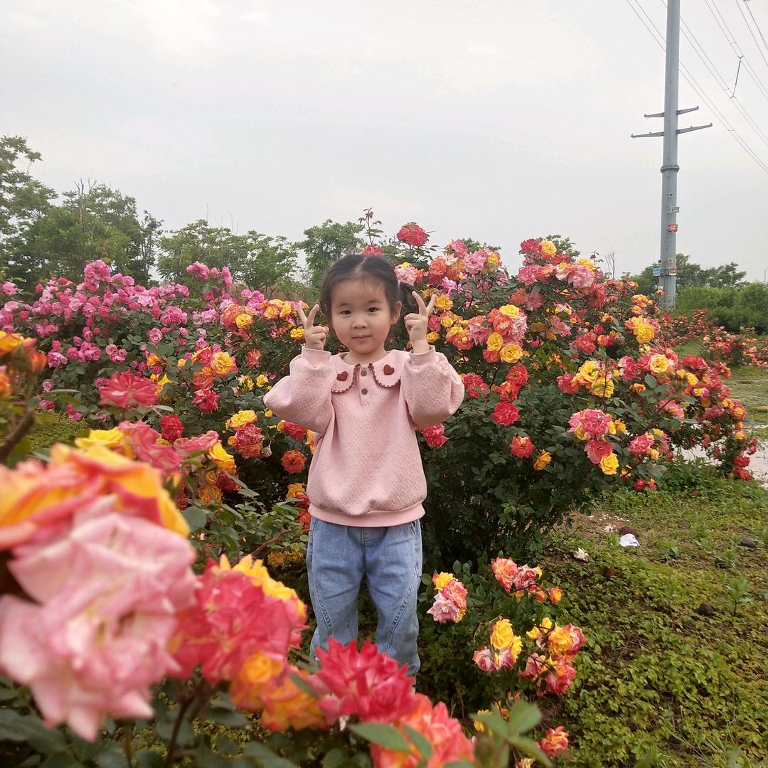 紫色烟花
