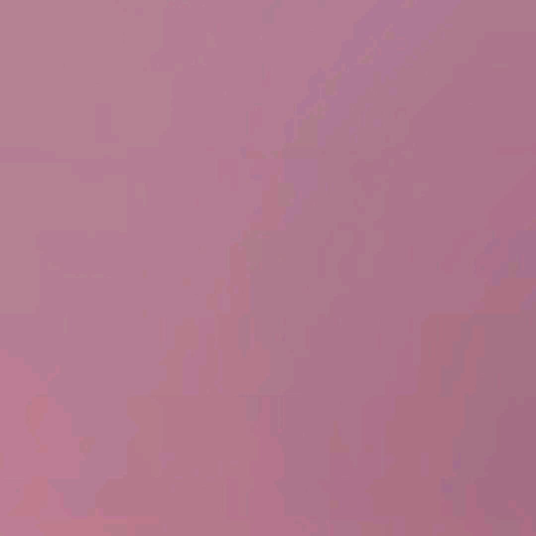 81