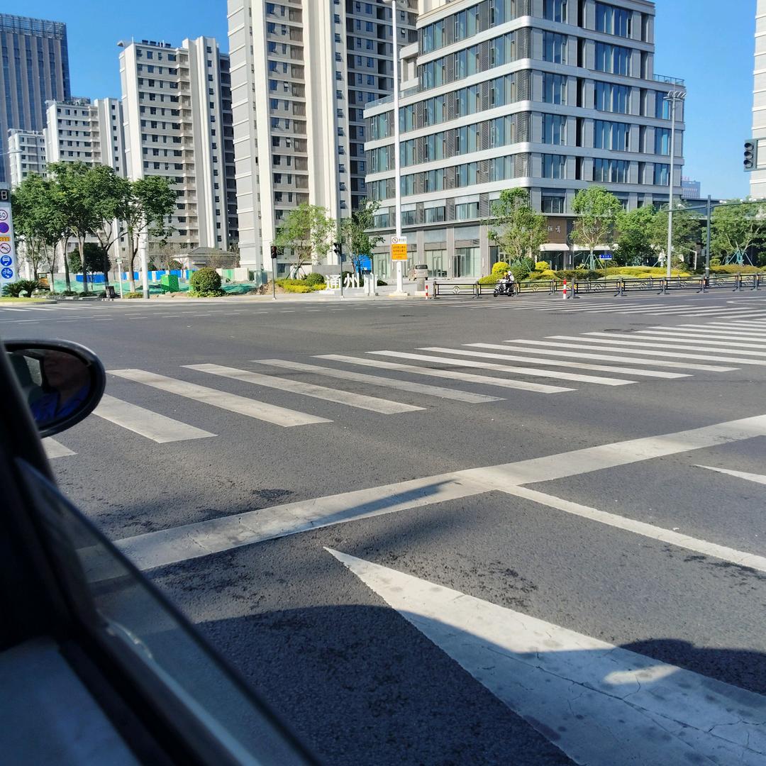 雨林一束阳光(C)