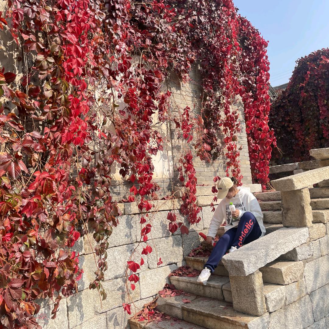 已来临🦋