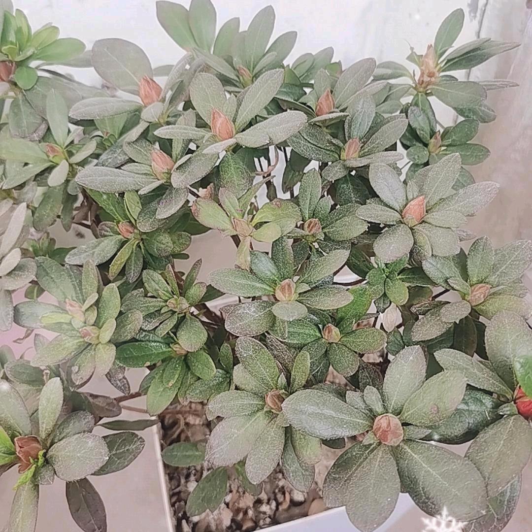 上蔡郡达二楼佳佳服饰