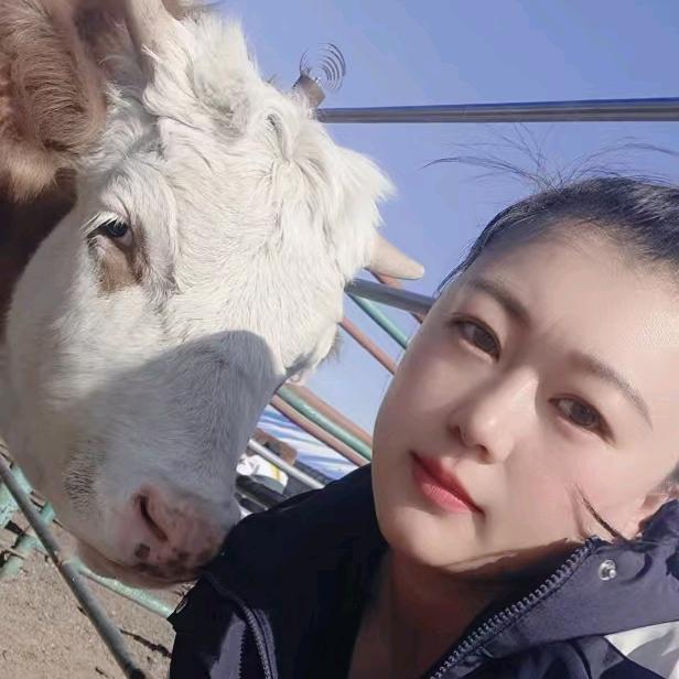 突泉牛中介小飞