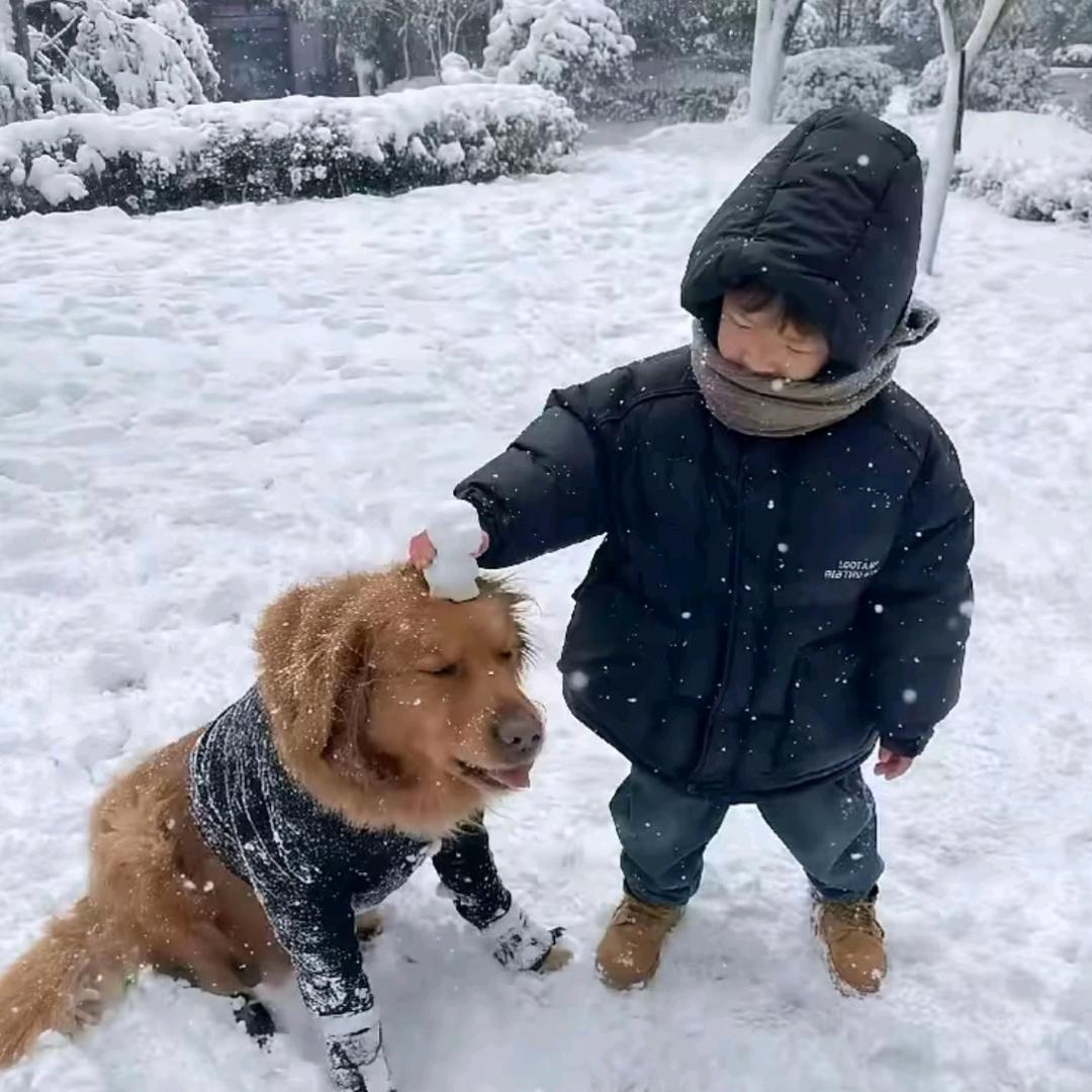 我也不太了解她