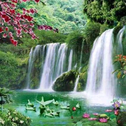 🍀🕊️十里平湖🕊️🍀