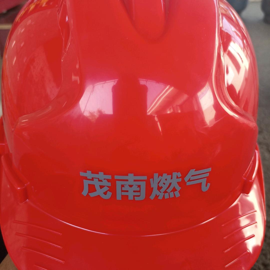 智生