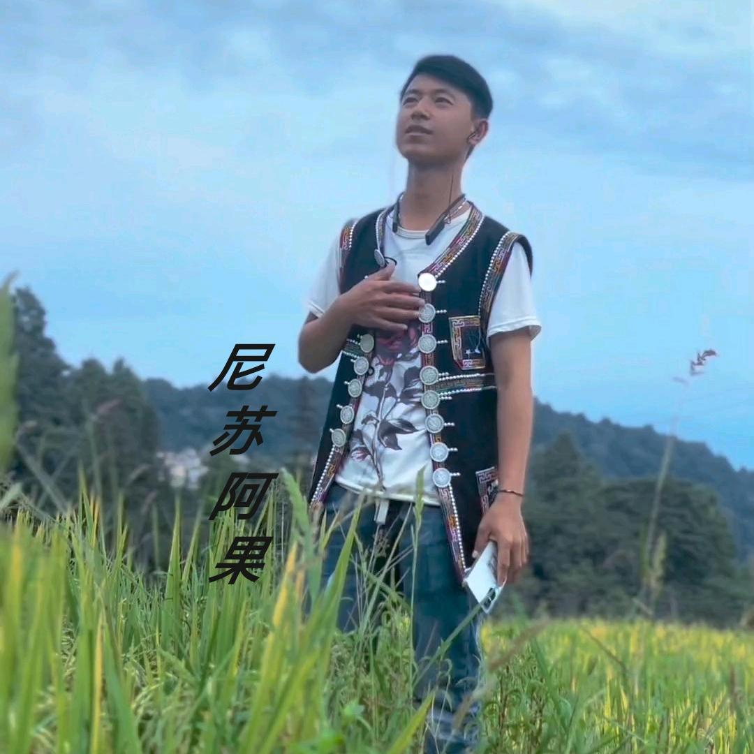 尼苏阿果