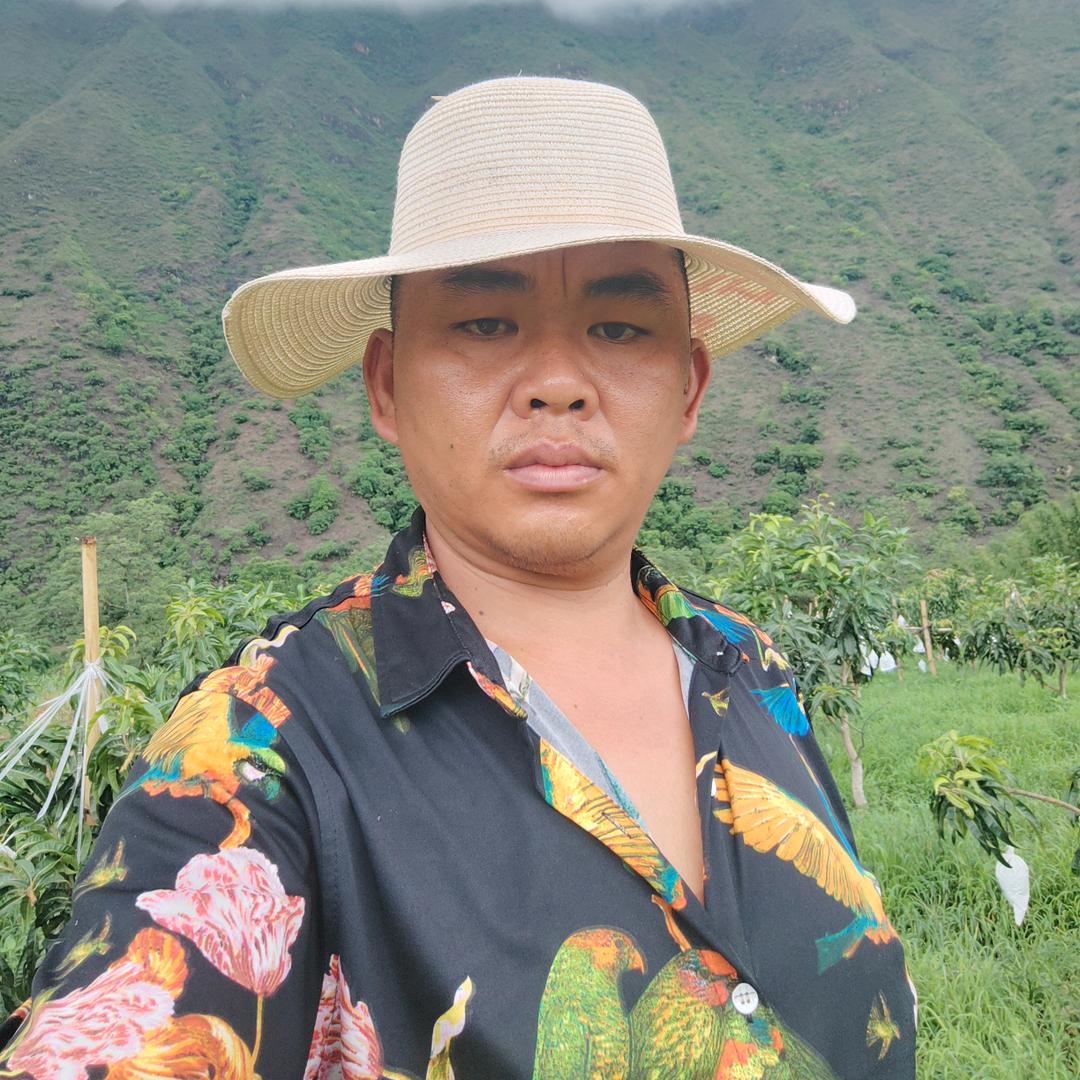 🥭芒果🥭情未了🥭