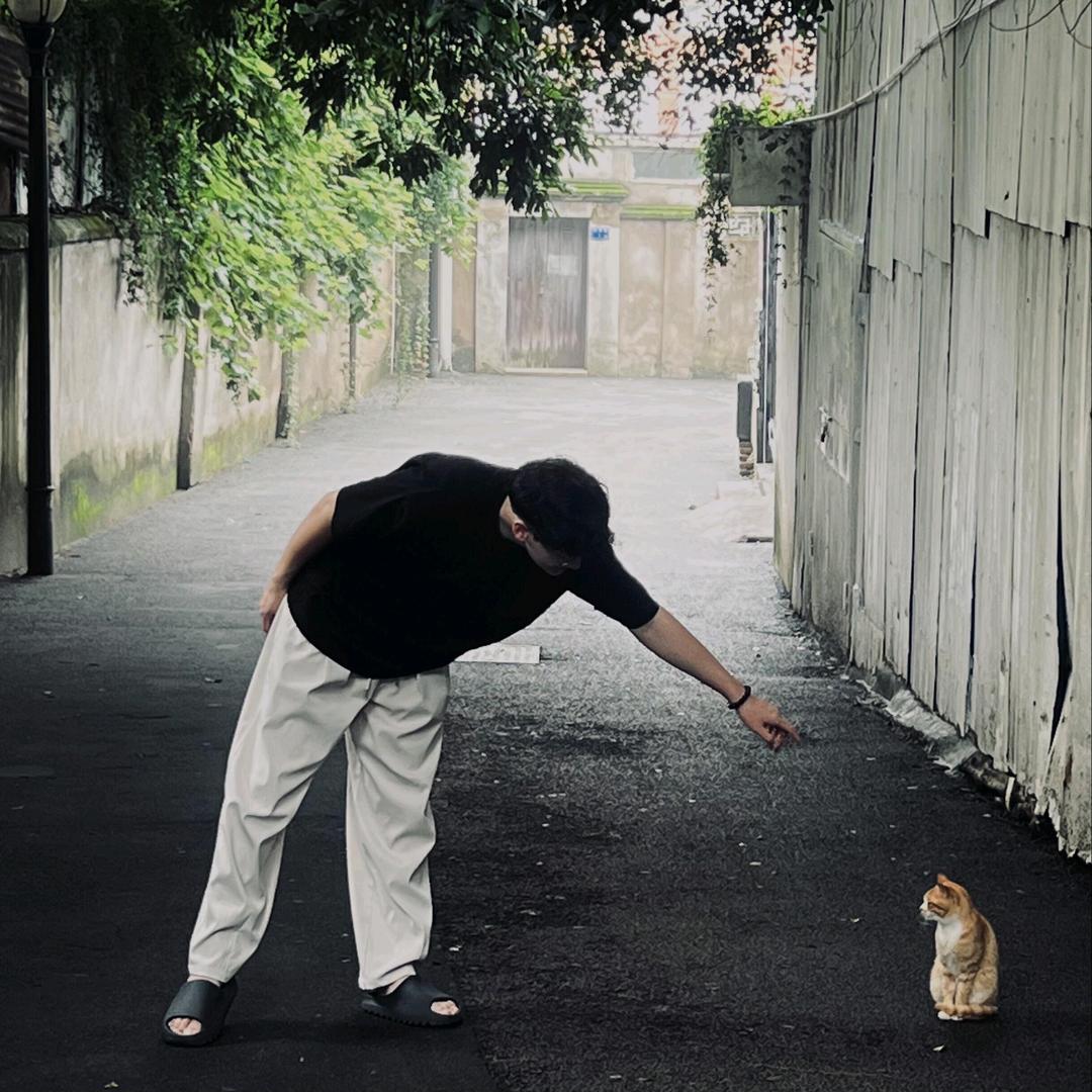 愿淮霜
