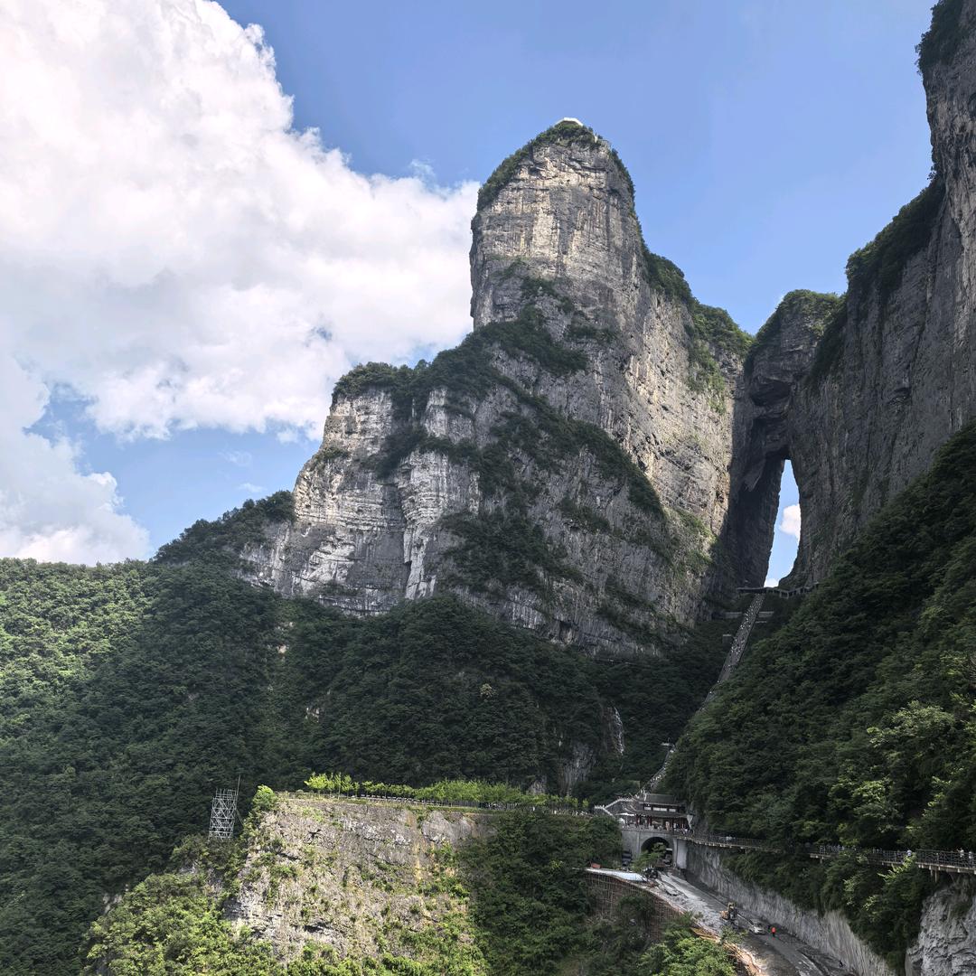 将进酒，杯莫停