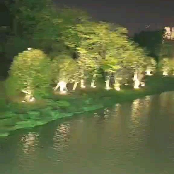 人生如茶