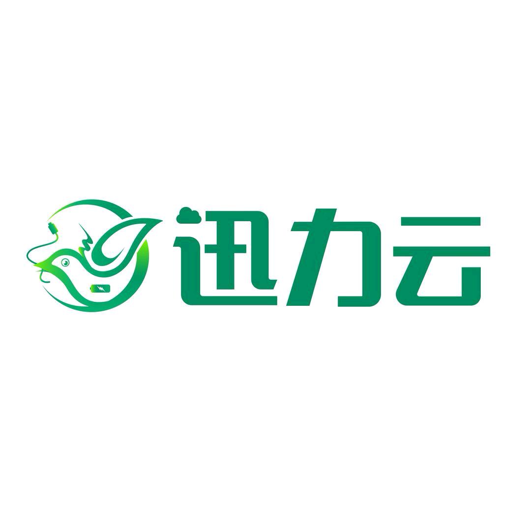 迅力云-宏信颖子