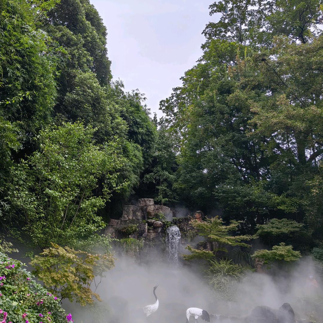 月是故乡明