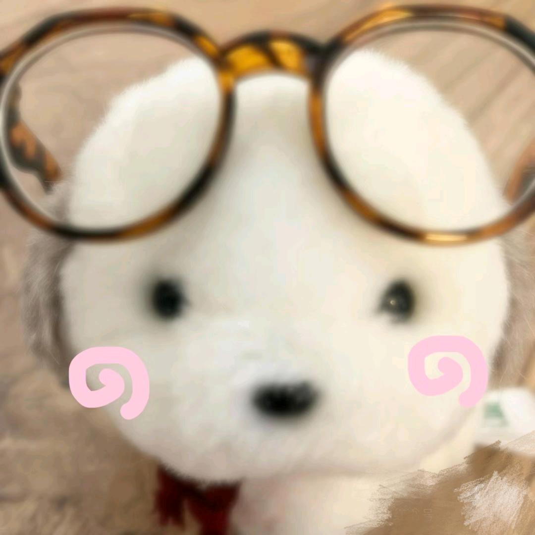 傅小黎喽👯