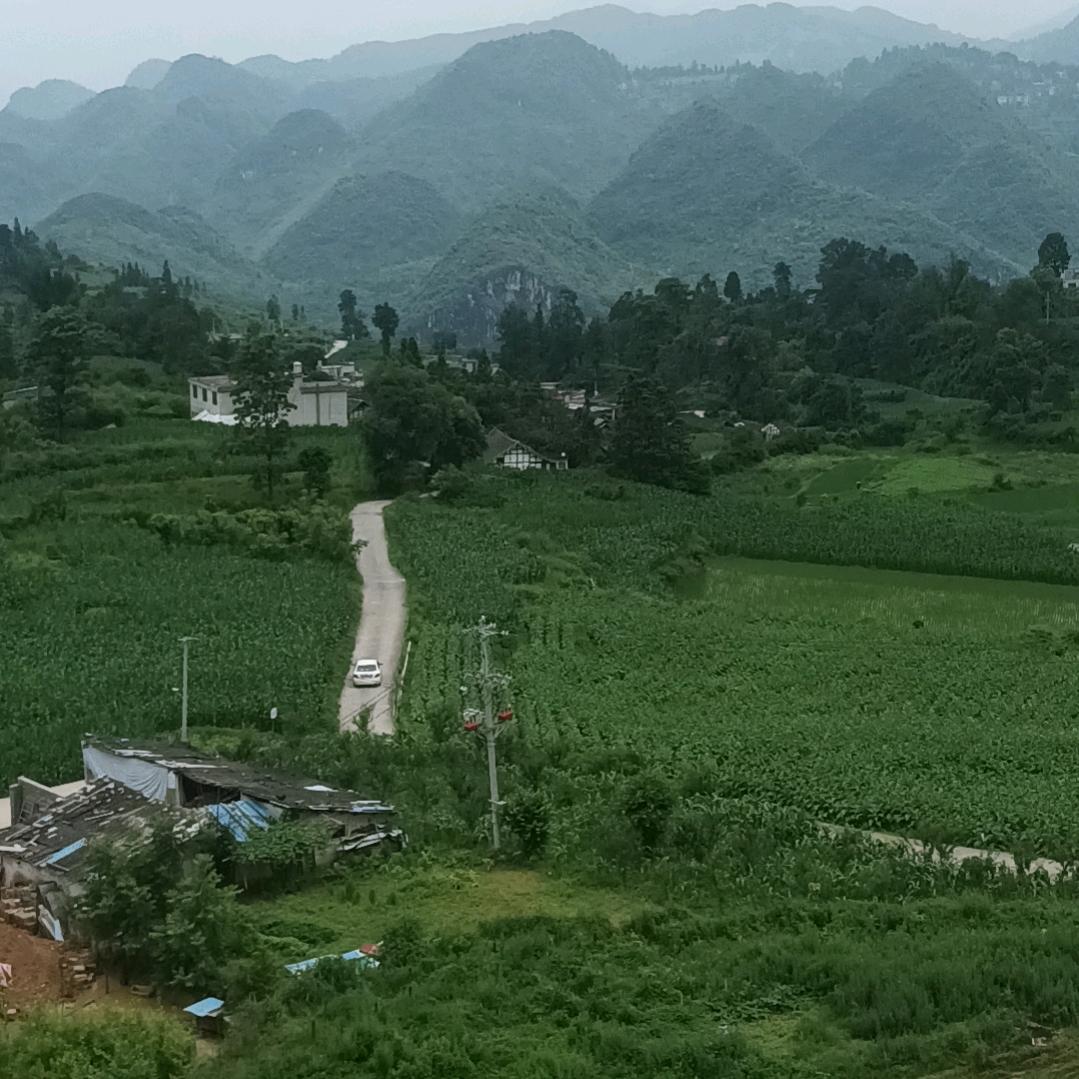 开心快乐是心情