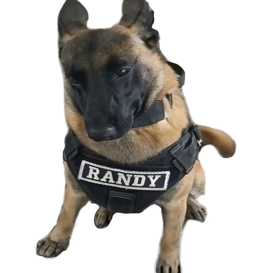 美女流泪我心碎