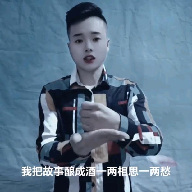 陈公子手势舞单身