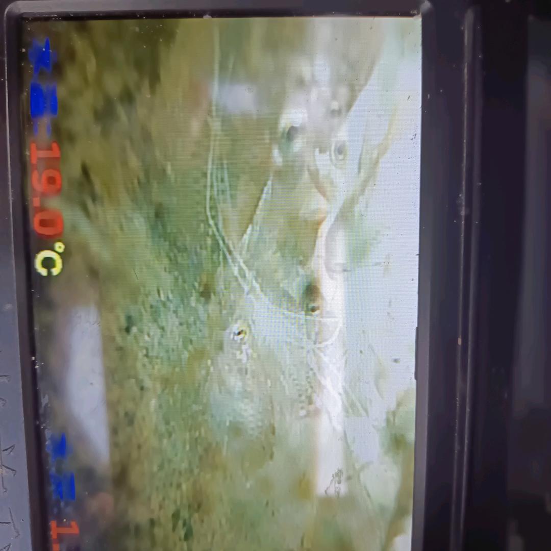 寻找另一半人生