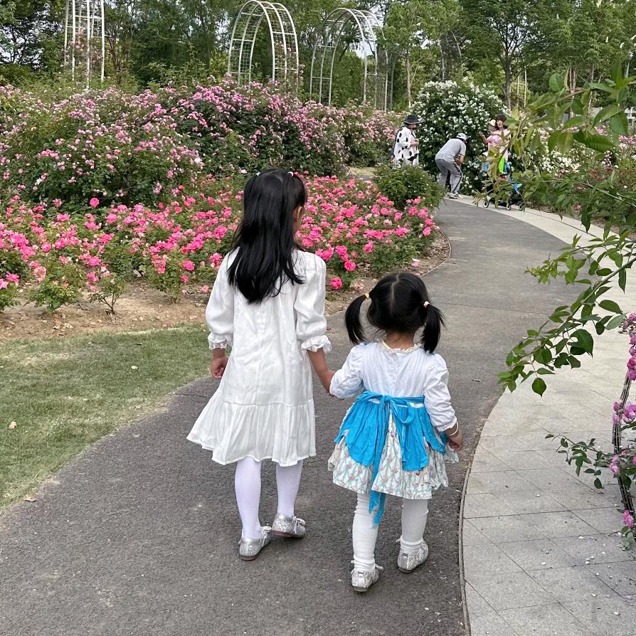 小云朵同学