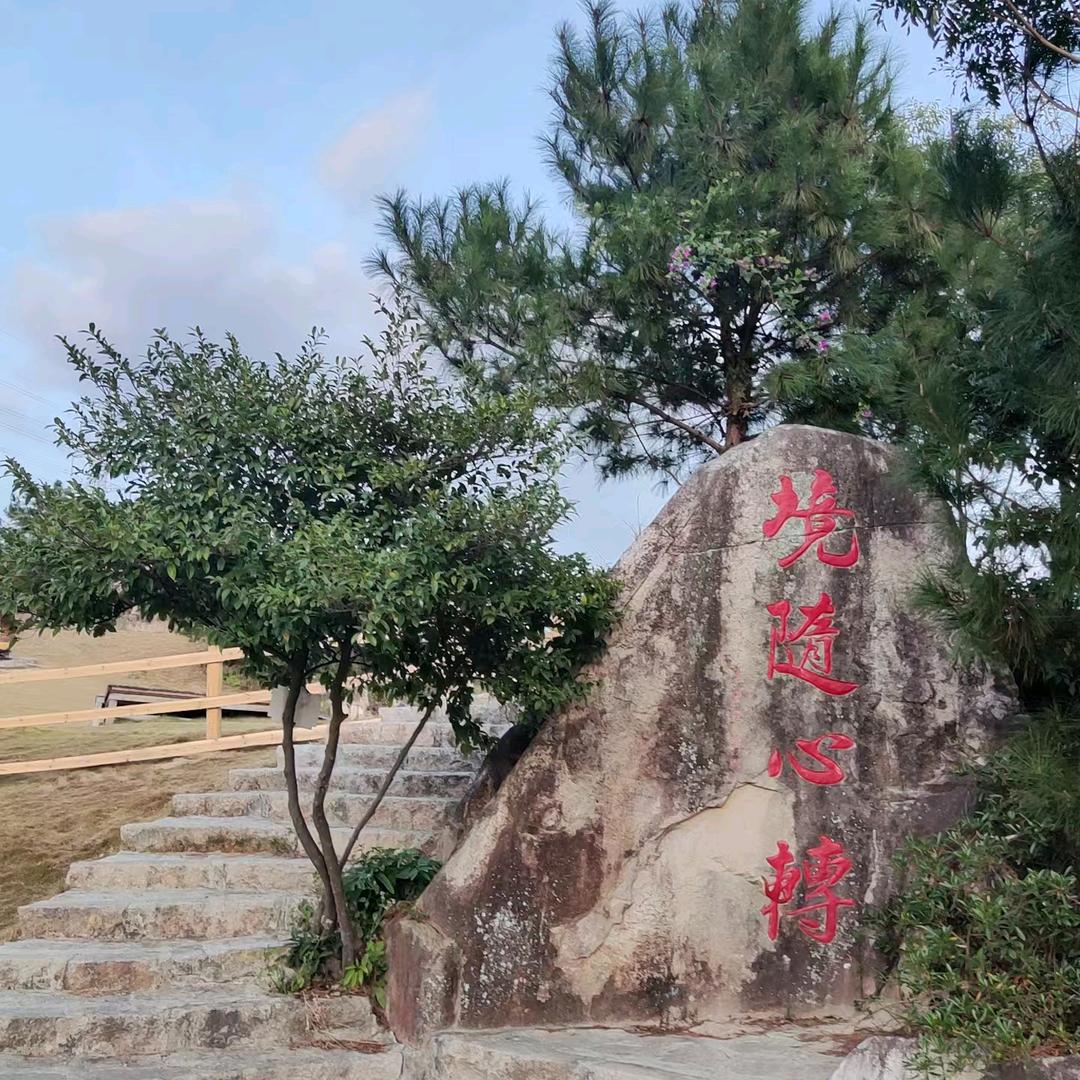 一世情缘