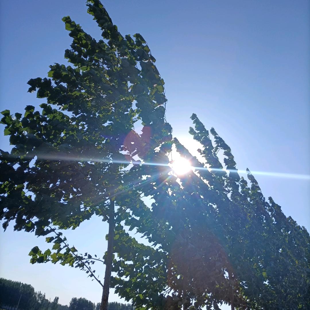 涵涵
