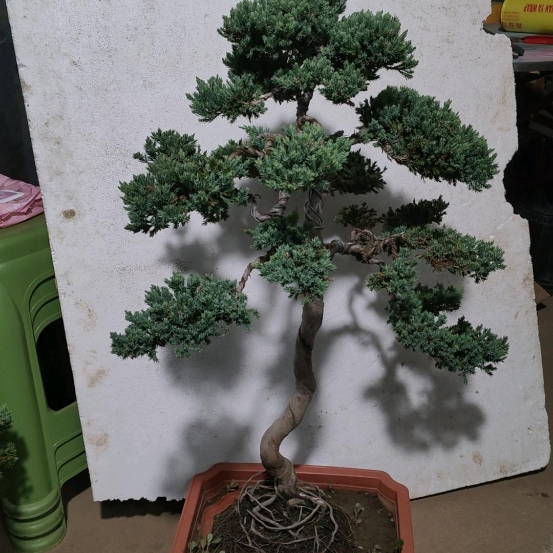 绿森坊