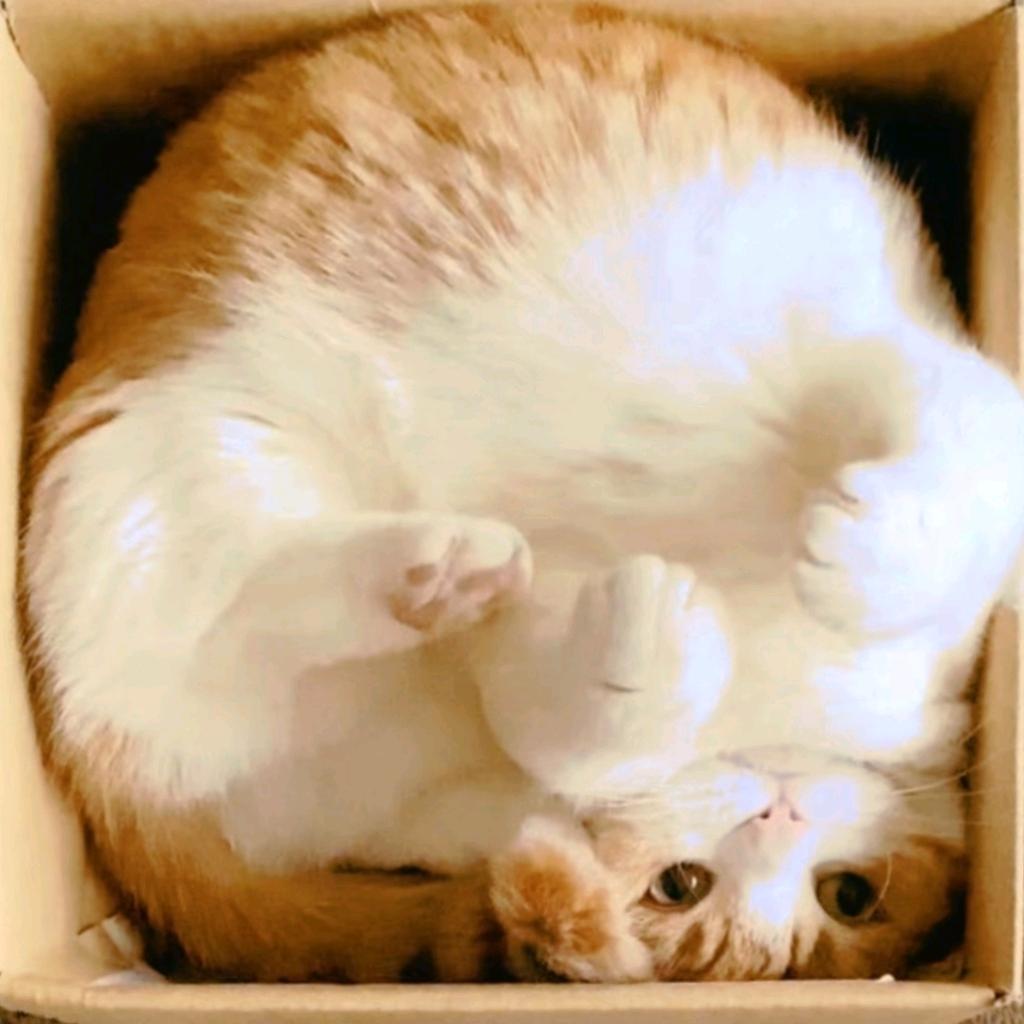 首阳十六（游戏版）