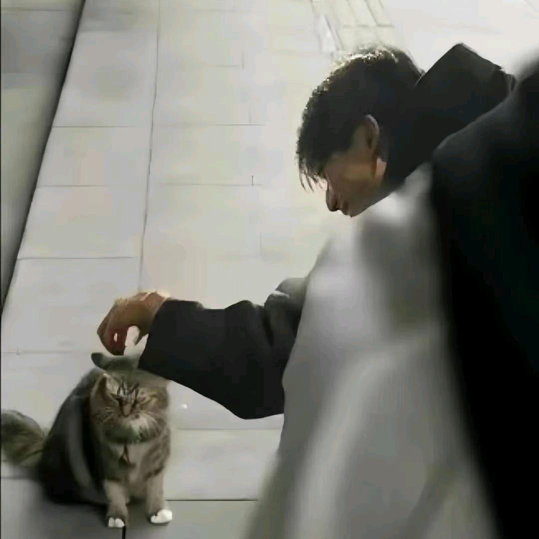 尽力活到三十岁