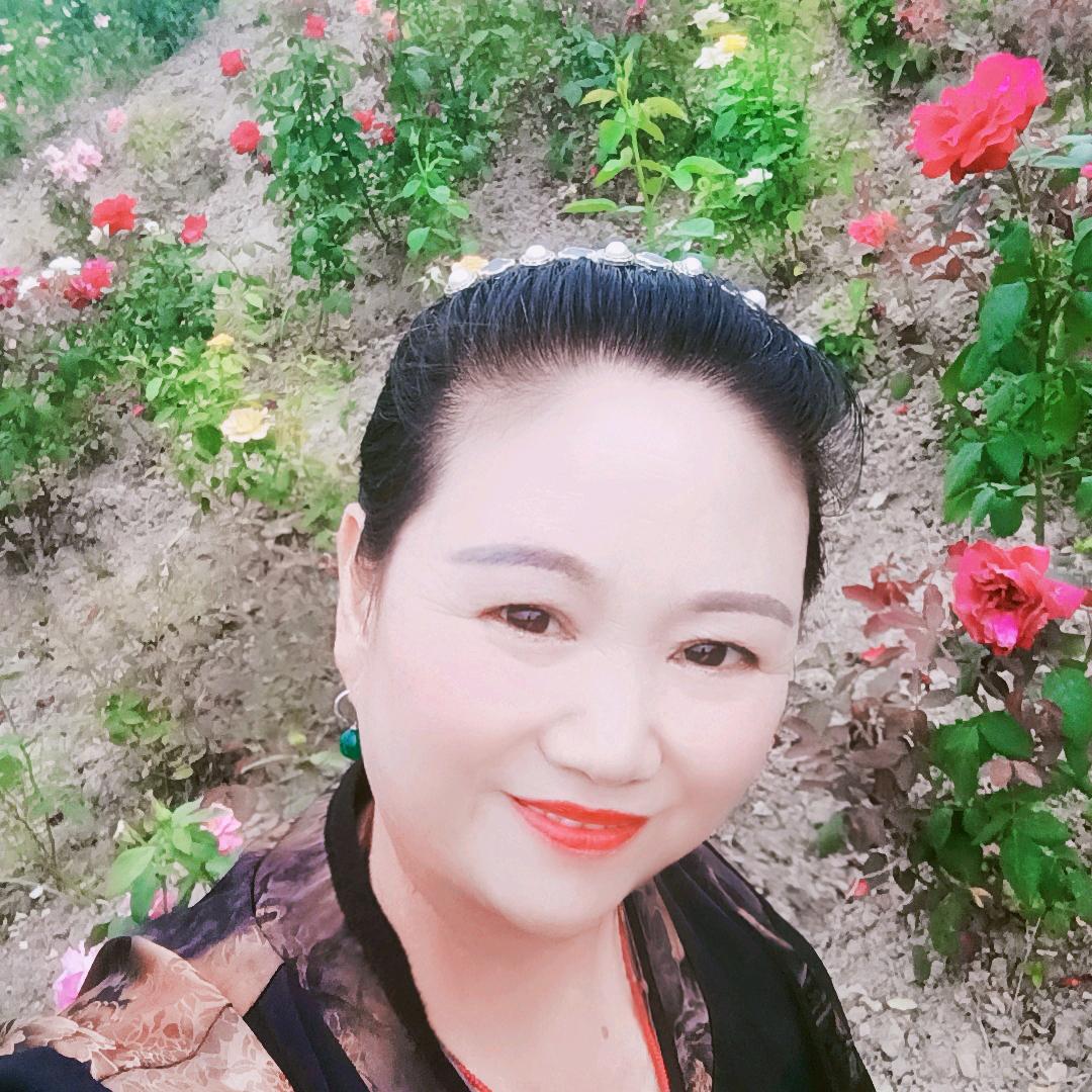 傲骨寒梅