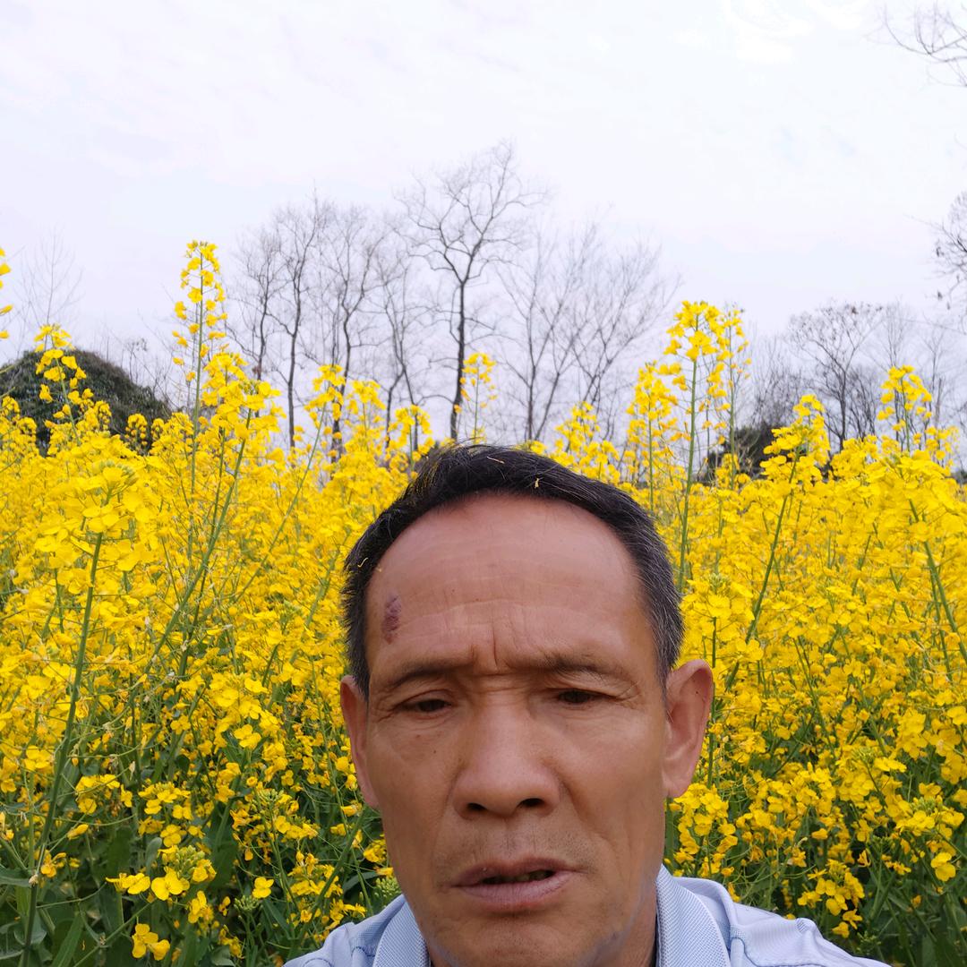 宋振华