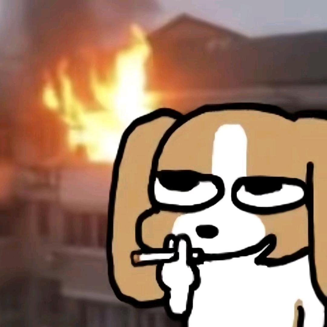 绝望的屿安（求推荐）