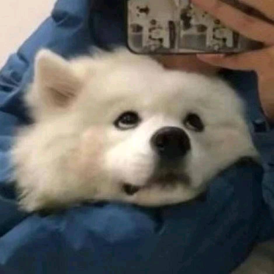 一个女的
