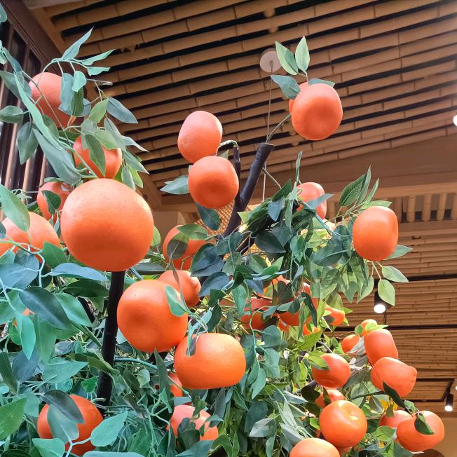 笔芯数码