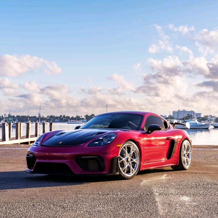 你是妖来我是怪