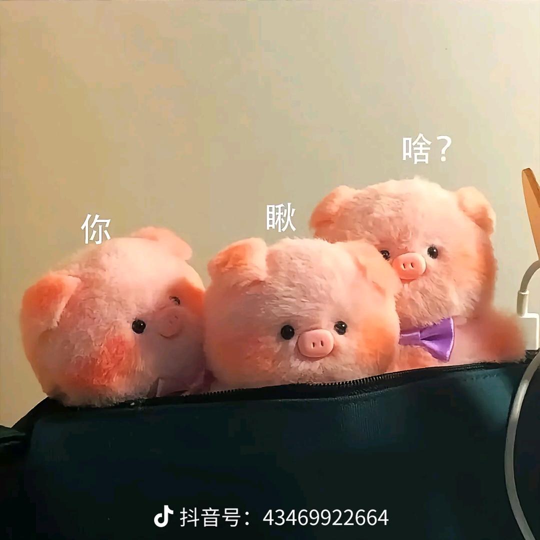 银丽美业官方号
