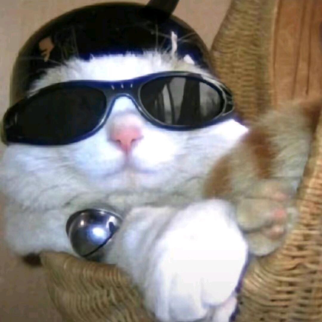 oo