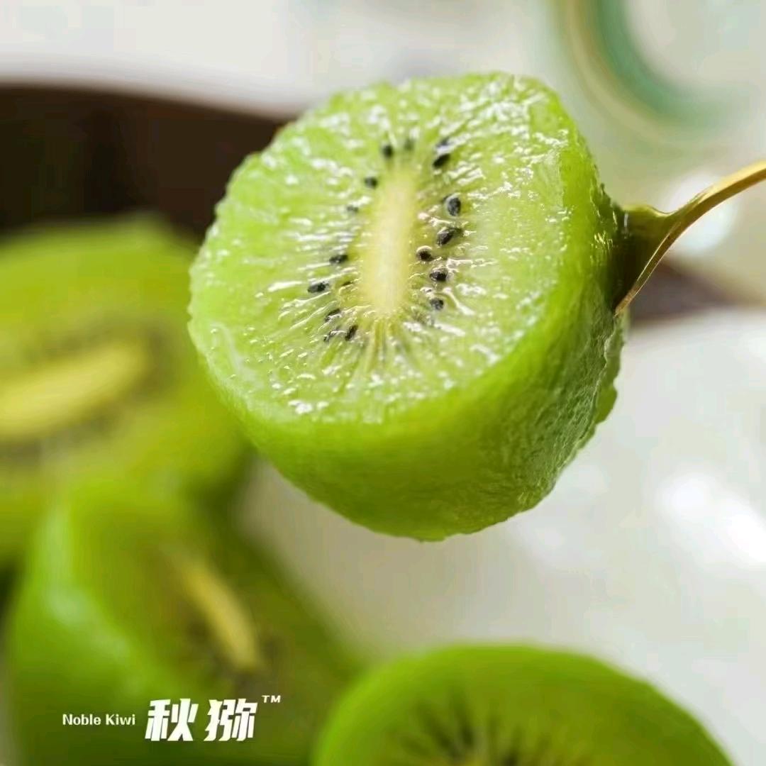 游龙秀