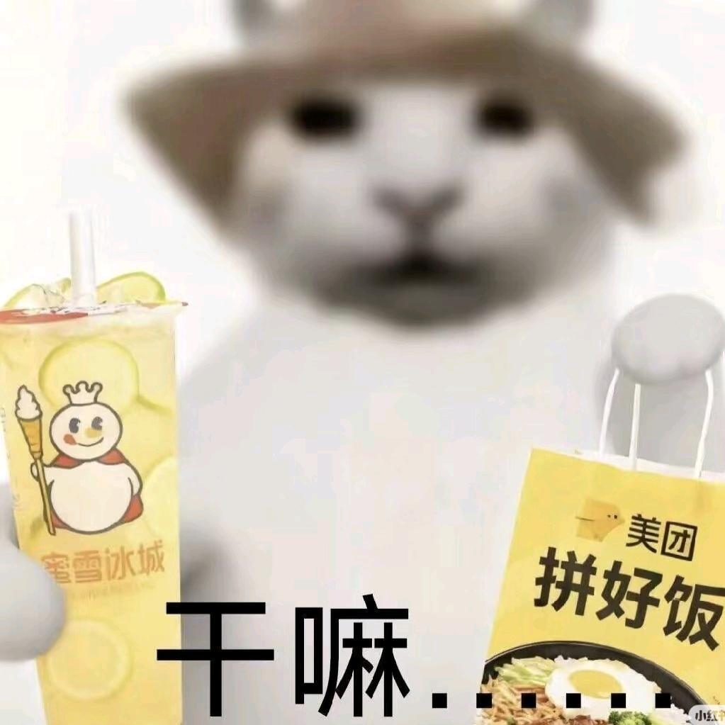 真的睡着了