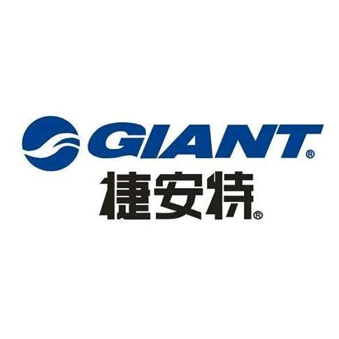 魏县捷安特